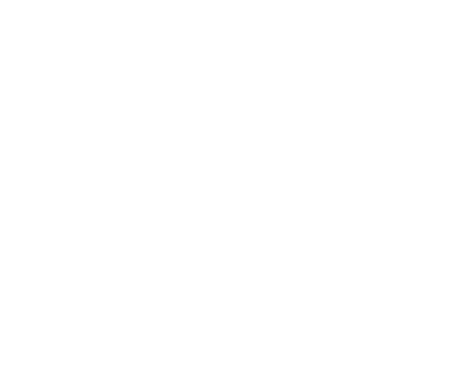 Sasto Joy